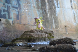 Size: 4928x3264 | Tagged: safe, artist:onlyfactory, derpibooru import, photographer:misterdogg, fluttershy, bat pony, australia, bat ponified, bootleg, creek, flutterbat, irl, lithgow, photo, plushie, race swap, rock, water