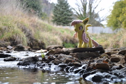 Size: 4928x3264 | Tagged: safe, artist:onlyfactory, derpibooru import, photographer:misterdogg, fluttershy, bat pony, australia, bat ponified, bootleg, creek, flutterbat, irl, lithgow, photo, plushie, race swap, rock, water