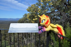 Size: 4928x3264 | Tagged: safe, artist:ponimalion, derpibooru import, photographer:misterdogg, sunset shimmer, alicorn, pony, alicornified, australia, capertee, capertee valley, clothes, ear fluff, ears, fence, irl, photo, plushie, race swap, sign, socks, striped socks, tail, tail fluff