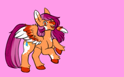 Size: 800x500 | Tagged: safe, artist:diurnalcritters, derpibooru import, oc, oc only, oc:summer rain, pegasus, pony, colored wings, female, mare, multicolored wings, pink background, simple background, solo, wings