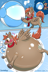 Size: 1200x1800 | Tagged: safe, artist:hoshi_jirushi, derpibooru import, oc, oc only, oc:winterlight, pegasus, 2 panel comic, air inflation, beach ball, blowback, blowing, blushing, clothes, comic, inflation, male, proud, round, round belly, scarf, sequence, stallion