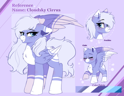 Size: 3264x2524 | Tagged: safe, artist:2pandita, derpibooru import, oc, oc only, oc:cloudsky cirrus, pegasus, pony, blue eyes, blush lines, blushing, chest fluff, coat markings, color palette, colored eartips, colored wings, colored wingtips, ear fluff, ears, eyes closed, facial markings, female, folded wings, freckles, grin, lavender background, mare, mealy mouth (coat marking), pale belly, pegasus oc, purple background, raised hoof, raised leg, reference sheet, simple background, smiling, socks (coat marking), solo, spread wings, standing, wings