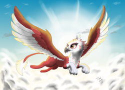 Size: 3000x2160 | Tagged: safe, artist:jack-varus, derpibooru import, oc, oc:bobbie, griffon, cloud, cloudy, female, flying, griffish isles, griffon oc, mascot, sky, solo