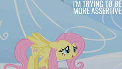 Size: 2000x1125 | Tagged: safe, derpibooru import, edit, edited screencap, editor:quoterific, screencap, fluttershy, g4, sonic rainboom (episode), solo