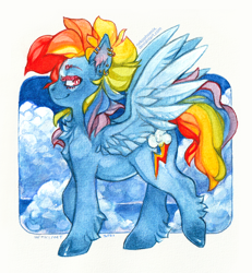 Size: 850x920 | Tagged: safe, artist:nekophoenix, derpibooru import, rainbow dash, pegasus, pony, alternate hairstyle, backwards cutie mark, chest fluff, ear piercing, earring, jewelry, leg fluff, piercing, simple background, solo, traditional art, watercolor painting, white background