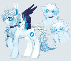 Size: 3500x3000 | Tagged: safe, artist:kefirro7, derpibooru import, pegasus, pony, admiration, cheek fluff, chest fluff, collar, concave belly, ear fluff, ears, floppy ears, hairband, looking away, male, meta, open mouth, ponified, raised hoof, raised leg, simple background, slim, solo, spread wings, stallion, tail, tail feathers, thin, twitter, wing fluff, wings