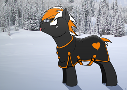 Size: 3508x2480 | Tagged: safe, artist:sefastpone, derpibooru import, oc, oc only, oc:se, earth pony, pony, clothes, forest, freckles, jacket, male, real life background, snow, solo, stallion, tongue, tongue out, winter