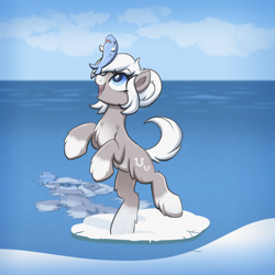 Size: 2000x2000 | Tagged: safe, artist:confetticakez, ponerpics import, oc, oc only, oc:snow shoes, fish, pony, /mlp/, balancing on nose, bipedal, chest fluff, coat markings, cute, female, fluffy, ice, looking at something, mare, ocean, open mouth, pale belly, smiling, snow, snowmare, snowpony (species), socks (coat marking), solo, taiga pony, unshorn fetlocks, water, yakutian horse