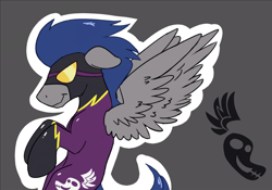 Size: 1000x700 | Tagged: safe, artist:cottonsulk, derpibooru import, pegasus, pony, clothes, costume, male, shadowbolts (nightmare moon's minions), shadowbolts costume