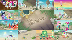 Size: 1280x721 | Tagged: safe, derpibooru import, editor:quoterific, applejack, fluttershy, rainbow dash, rarity, crab, tortoise, turtle, aww... baby turtles, better together, equestria girls, beach, clothes, cute, rock, sunset, swimsuit, wetsuit