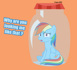 Size: 1024x928 | Tagged: safe, artist:kingdark0001, derpibooru import, rainbow dash, pegasus, pony, dialogue, female, jar, jar meme, lewd container meme, looking at you, mare, open mouth, pony in a bottle, scared, simple background, sitting, solo, the implications are horrible, vector