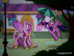 Size: 1280x960 | Tagged: safe, artist:caninecrypt, derpibooru import, princess cadance, spike, twilight sparkle, twilight sparkle (alicorn), alicorn, dragon, pony, canterlot, cute, cutedance, female, glowing, glowing horn, horn, magic, male, mare, rain, sisters-in-law, smiling, spikabetes, spread wings, telekinesis, twiabetes, umbrella, wings