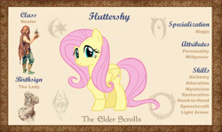 Size: 10100x6000 | Tagged: safe, artist:ponygamer2020, derpibooru import, fluttershy, pegasus, pony, bio, cute, female, looking at you, mare, morrowind, oblivion, reference sheet, shyabetes, skyrim, smiling, smiling at you, solo, the elder scrolls, the elder scrolls: equestria, vector