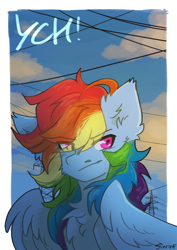 Size: 2480x3508 | Tagged: safe, artist:sinrinf, derpibooru import, rainbow dash, pegasus, pony, cheek fluff, chest fluff, commission, ear fluff, ears, eye clipping through hair, fluffy, postcard, sky, smiling, smirk, solo, wires, ych example, your character here