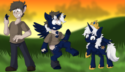 Size: 2069x1200 | Tagged: safe, artist:detectivecoon, derpibooru import, oc, alicorn, human, pony, female, human to pony, male, mare, species swap, transformation, transformation sequence, transgender transformation