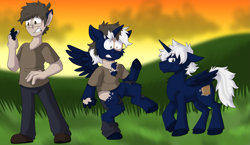 Size: 2069x1200 | Tagged: safe, artist:detectivecoon, derpibooru import, oc, alicorn, human, pony, human to pony, male, species swap, transformation, transformation sequence