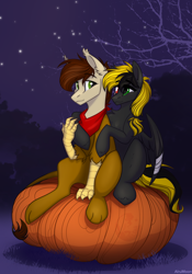 Size: 1668x2388 | Tagged: safe, artist:alrumoon_art, derpibooru import, oc, oc only, oc:shade demonshy, oc:swango, hippogriff, pegasus, pony, alrumoon halloween ych 2022, female, male, mare, night, pumpkin, stars