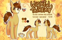 Size: 701x455 | Tagged: safe, artist:loviesophiee, derpibooru import, oc, oc:wishful thinking, earth pony, reference sheet