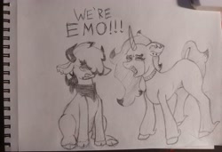 Size: 4564x3118 | Tagged: safe, artist:chacarron, derpibooru import, arizona cow, oleander, cow, unicorn, them's fightin' herds, choker, community related, ear piercing, emo, meme, piercing, traditional art, we're emo