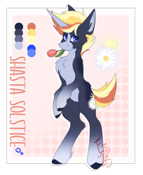 Size: 2035x2489 | Tagged: safe, artist:ezzerie, derpibooru import, oc, oc only, oc:shasta solstice, unicorn, bipedal, flower, flower in mouth, male, mouth hold, reference sheet, solo, stallion, standing