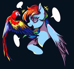 Size: 1991x1867 | Tagged: safe, artist:tkotu1, derpibooru import, rainbow dash, bird, parrot, pony, female, macaw