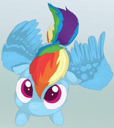 Size: 1268x1419 | Tagged: safe, artist:opal2023, derpibooru import, rainbow dash, pegasus, pony, cute, female, gradient background, high angle, mare, solo