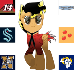 Size: 554x528 | Tagged: safe, derpibooru import, applejack, oc, oc only, pegasus, american football, college, hockey, ice hockey, los angeles, los angeles rams, navy, nfl, nhl, seattle, seattle kraken, simple background, solo, transparent background