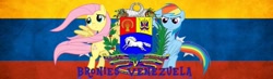 Size: 1079x313 | Tagged: safe, derpibooru import, fluttershy, rainbow dash, banner, venezuela