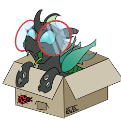Size: 4000x4000 | Tagged: safe, artist:evan555alpha, oc, oc only, oc:yvette (evan555alpha), changeling, ladybug, evan's daily buggo ii, box, broach, cardboard box, changeling oc, colored sketch, cute, dorsal fin, elytra, fangs, female, forked tongue, glasses, green tongue, happy, long tongue, looking up, ocbetes, open mouth, open smile, round glasses, signature, simple background, sketch, smiling, solo, spread wings, tongue, tongue out, transparent background