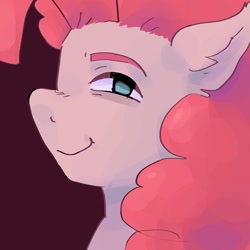 Size: 2048x2048 | Tagged: safe, artist:dmitrymemovznok, derpibooru import, pinkie pie, earth pony, pony, close-up, smiling, smirk, solo