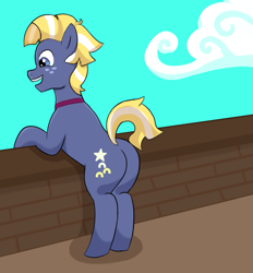 Size: 857x923 | Tagged: safe, artist:lotusflare, derpibooru import, star tracker, earth pony, pony, :d, airship, butt, cloud, freckles, happy, male, open mouth, open smile, plot, smiling, solo, stallion