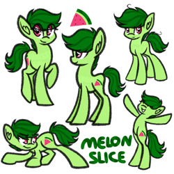 Size: 1024x1024 | Tagged: safe, artist:princessfaeron, derpibooru import, oc, oc only, oc:melon slice, earth pony, pony, male, simple background, solo, stallion, white background