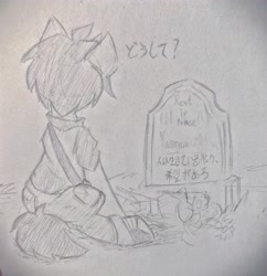 Size: 3152x3260 | Tagged: safe, artist:rony, derpibooru import, oc, oc only, oc:yamagami, flower, gravestone, japanese, sad, sad pony, sadness, traditional art, why