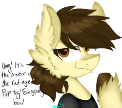 Size: 1138x1015 | Tagged: safe, artist:4agonism, derpibooru import, oc, oc only, oc:a.w.k., earth pony, pony, bust, cheek fluff, clothes, colored hooves, ear fluff, ears, earth pony oc, female, mare, pouting, raised hoof, raised leg, shirt, simple background, smiling, smirk, solo, unshorn fetlocks, white background