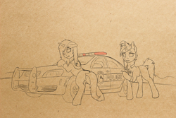 Size: 6000x4000 | Tagged: safe, artist:leesys, derpibooru import, oc, oc only, oc:leesys, oc:stein, pony, car, colt, female, foal, male, mare, police