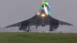 Size: 960x540 | Tagged: safe, artist:f0f0r3, derpibooru import, princess celestia, borzoi, concorde, didn't i do it for you, drawing, droop snoot, jet plane, meme, photo, photoshop, plane