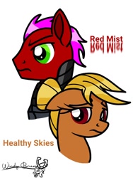 Size: 768x1024 | Tagged: safe, artist:windy breeze, derpibooru import, oc, oc:healthy skies, oc:red mist, pegasus, pony, fallout equestria, fallout equestria: sweet child of mine, armor, brown coat, bust, ears, enclave, enclave armor, explicit source, fanfic art, female, floppy ears, grand pegasus enclave, green eyes, male, mare, power armor, red coat, red eyes, simple background, stallion, white background, wingless, yellow mane