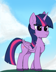 Size: 2894x3736 | Tagged: safe, artist:tempestshine, derpibooru import, twilight sparkle, twilight sparkle (alicorn), alicorn, pony, female, high res, mare, solo, unshorn fetlocks