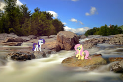 Size: 2048x1366 | Tagged: safe, artist:mlplover94, artist:myardius, artist:xpesifeindx, derpibooru import, fluttershy, rarity, pegasus, pony, unicorn, female, irl, mare, new york, photo, raised hoof, raised leg, river, rock, water