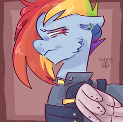 Size: 2048x2033 | Tagged: safe, artist:dmitrymemovznok, derpibooru import, rainbow dash, pegasus, pony, alternate timeline, clothes, frown, solo