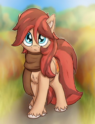 Size: 1500x1950 | Tagged: safe, artist:litrojia, derpibooru import, oc, oc only, oc:cottonwood kindle, earth pony, pony, autumn, cheek fluff, chest fluff, clothes, ear fluff, ears, earth pony oc, front view, looking at you, male, scarf, solo, stallion, unshorn fetlocks