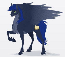 Size: 2300x2000 | Tagged: safe, artist:dementra369, derpibooru import, oc, oc only, oc:star reader, pegasus, chest fluff, colored, commission, commissioner:shaddar, male, solo, unshorn fetlocks, wings
