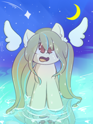 Size: 1050x1400 | Tagged: safe, artist:grithcourage, derpibooru import, oc, oc only, oc:grith courage, earth pony, pony, ear fluff, ears, earth pony oc, eye clipping through hair, eyebrows, eyebrows visible through hair, female, long hair, mare, moon, night, open mouth, reflection, solo, stars, water, wings