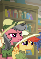 Size: 501x720 | Tagged: safe, derpibooru import, screencap, compass course, earth pony, pony, daring doubt, book, bookshelf, candid snap, daring do costume, female, hat, mare, unnamed character, unnamed pony, viewfinder (character)