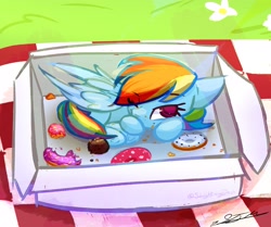 Size: 2893x2421 | Tagged: safe, artist:slightningdash, derpibooru import, rainbow dash, pegasus, pony, box, crumbs, curled up, donut, female, flower, food, grass, mare, one eye closed, picnic, picnic blanket, pony in a box, sleepy, smoldash, solo