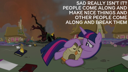 Size: 1920x1080 | Tagged: safe, derpibooru import, edit, edited screencap, editor:quoterific, screencap, owlowiscious, twilight sparkle, twilight sparkle (alicorn), alicorn, twilight's kingdom, book, doctor who, fire, golden oaks library