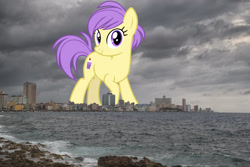 Size: 2048x1367 | Tagged: safe, artist:cheezedoodle96, derpibooru import, edit, editor:jaredking779, berry sweet, earth pony, pony, background pony, cuba, female, friendship student, giant pony, giant/macro earth pony, giantess, havana, highrise ponies, irl, looking at you, macro, mare, mega giant, photo, ponies in real life, smiling, solo