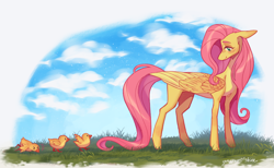 Size: 2600x1600 | Tagged: safe, artist:yuyusunshine, derpibooru import, fluttershy, pony, duckling