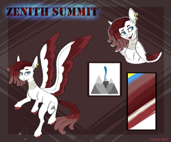 Size: 3000x2500 | Tagged: safe, artist:celes-969, derpibooru import, oc, oc only, pegasus, pony, pegasus oc, reference sheet, solo