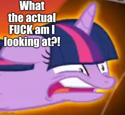 Size: 539x499 | Tagged: safe, derpibooru import, screencap, twilight sparkle, twilight sparkle (alicorn), alicorn, pony, twilight's kingdom, faic, great moments in animation, reaction image, smear frame, twilight vs tirek, vulgar